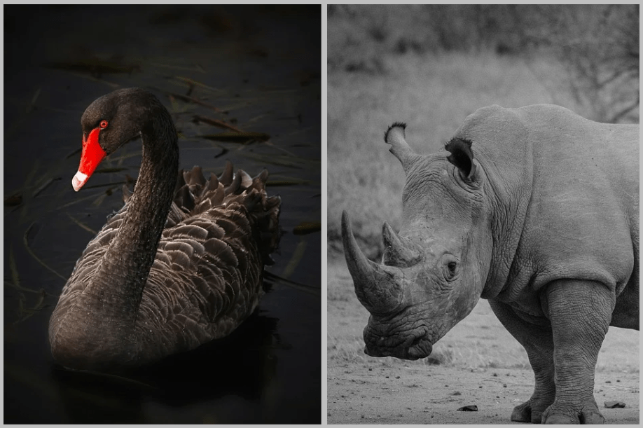 The Next Great&nbsp;Disaster