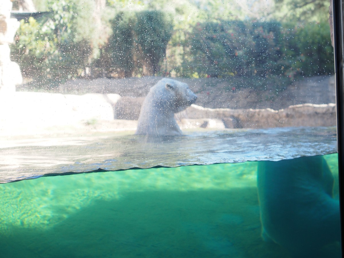 Q&A with Annika Barranti&nbsp;Klein